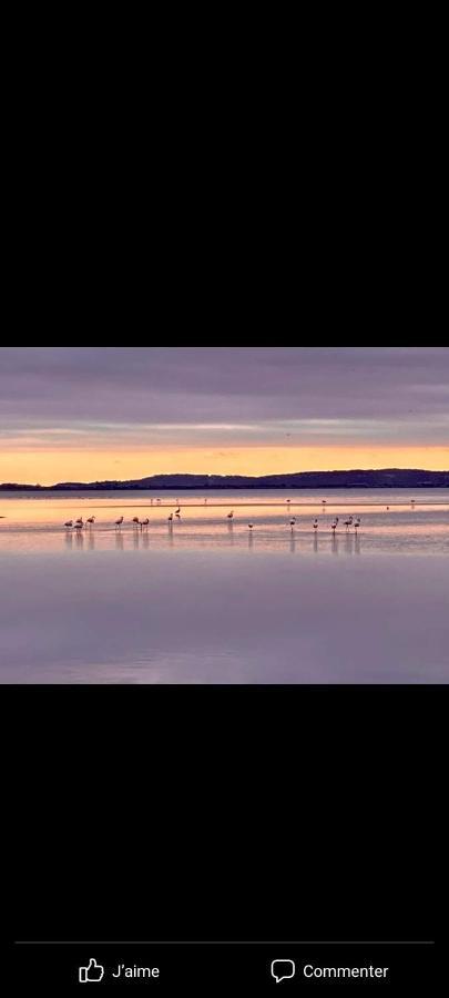 La Via Des Etangs Lejlighed Peyriac-de-Mer Eksteriør billede