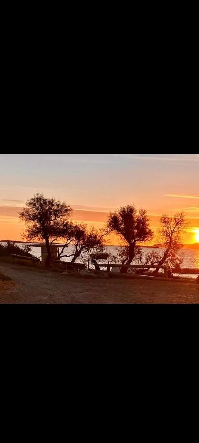 La Via Des Etangs Lejlighed Peyriac-de-Mer Eksteriør billede